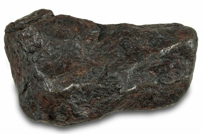 Canyon Diablo Iron Meteorite ( g) - Arizona #319656